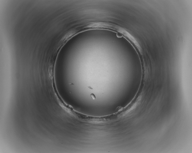 X0000112981049200908271139