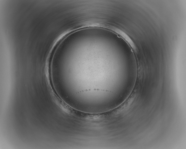 X0000112981051200908271139
