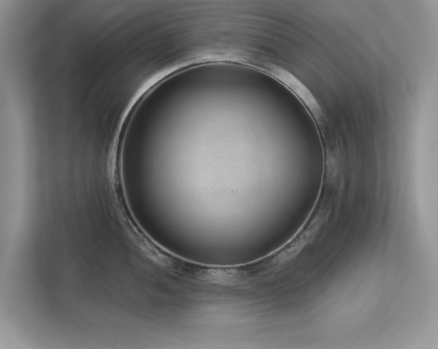 X0000112981052200908271139