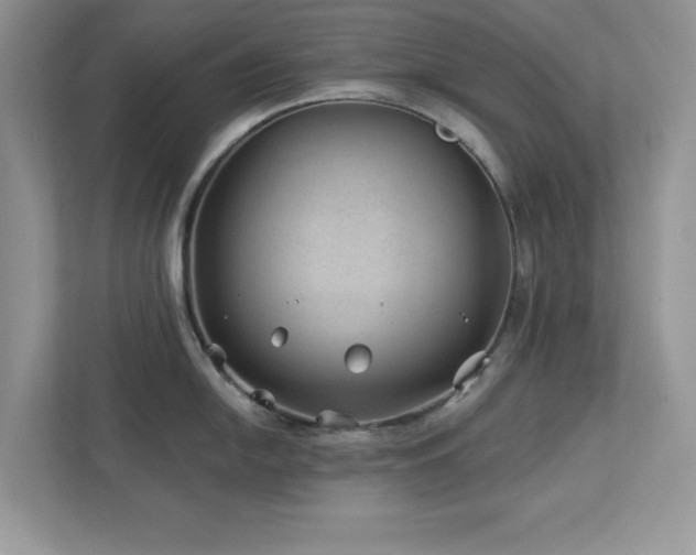 X0000112981054200908271139