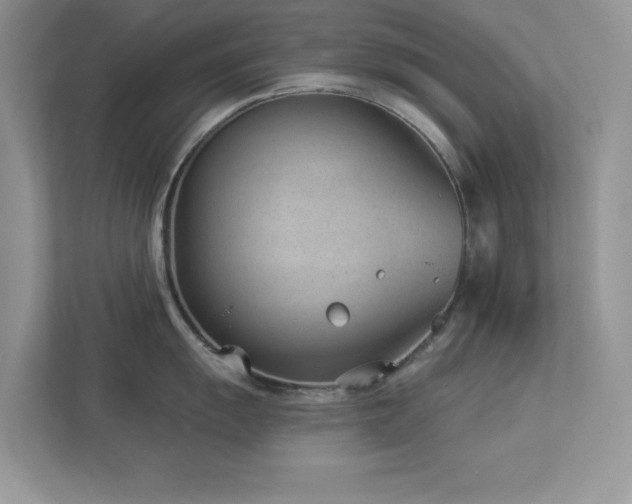 X0000112981055200908271139