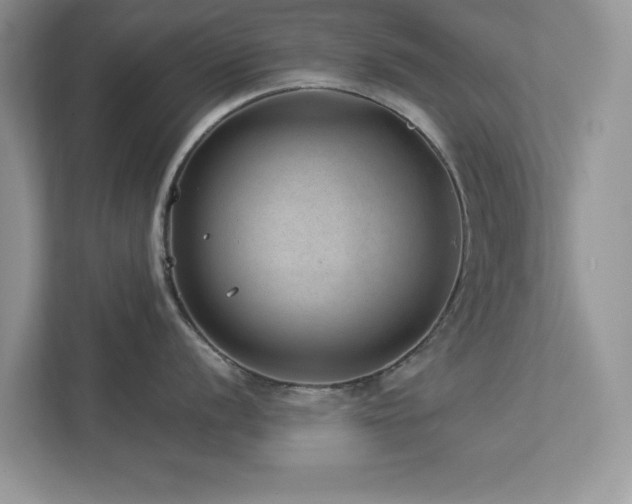 X0000112981056200908271139