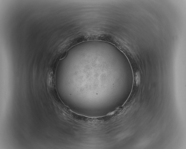 X0000112981059200908271139