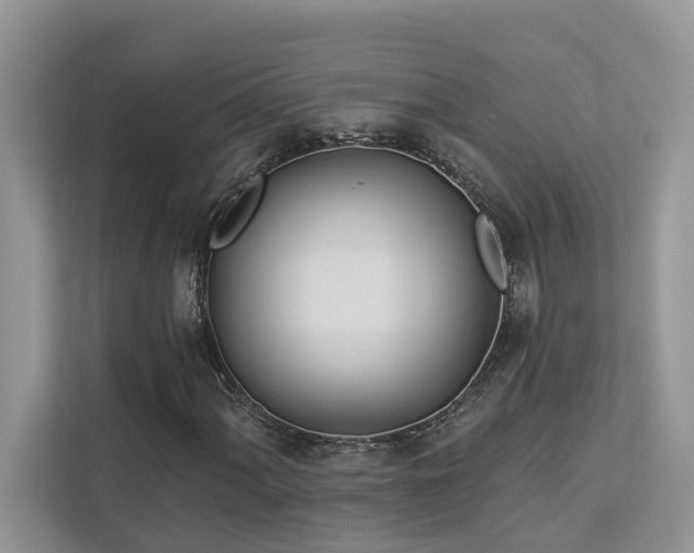 X0000112981060200908271139