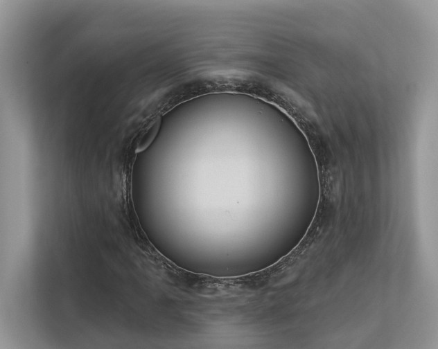X0000112981061200908271139