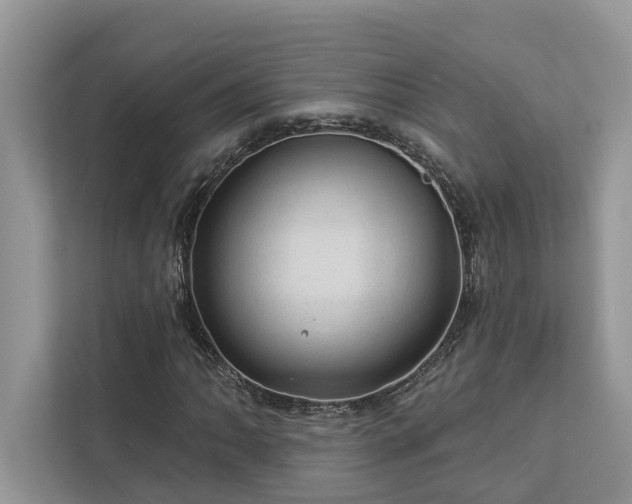 X0000112981062200908271139