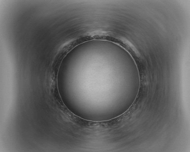X0000112981063200908271138