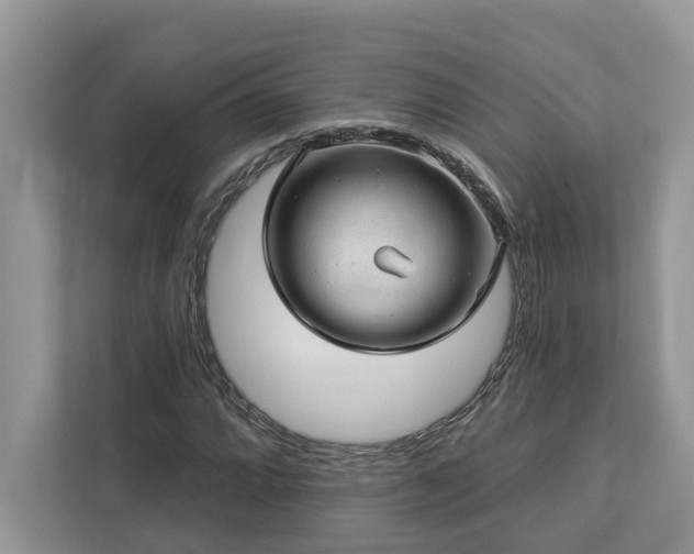 X0000112981064200908271138