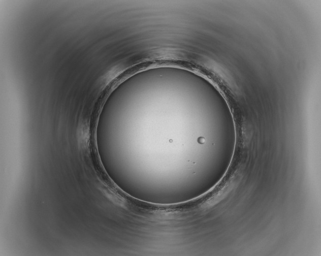 X0000112981065200908271138