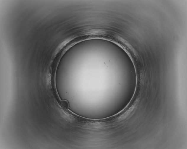 X0000112981066200908271138