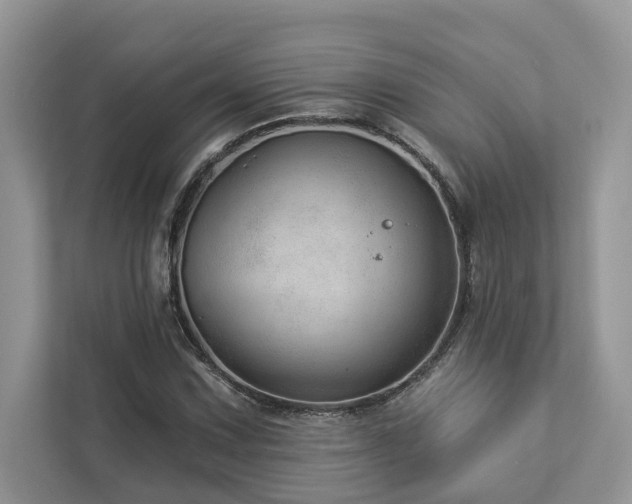X0000112981067200908271138