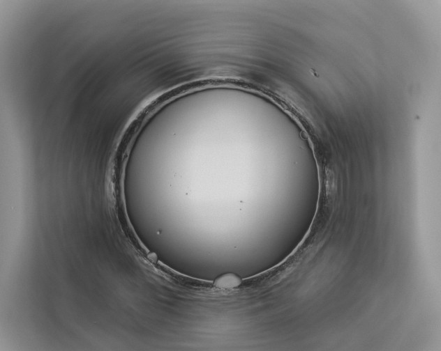 X0000112981068200908271138