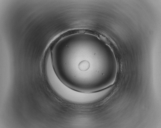 X0000112981069200908271138