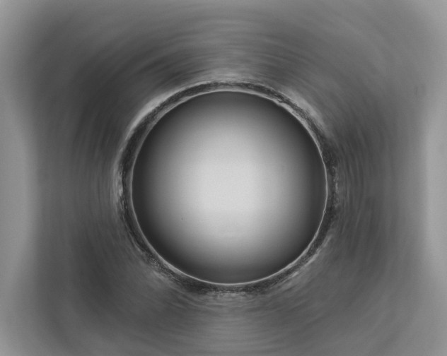 X0000112981070200908271138