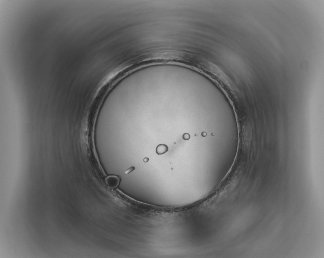 X0000112981071200908271138