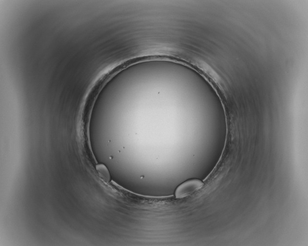 X0000112981072200908271138