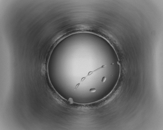 X0000112981073200908271138