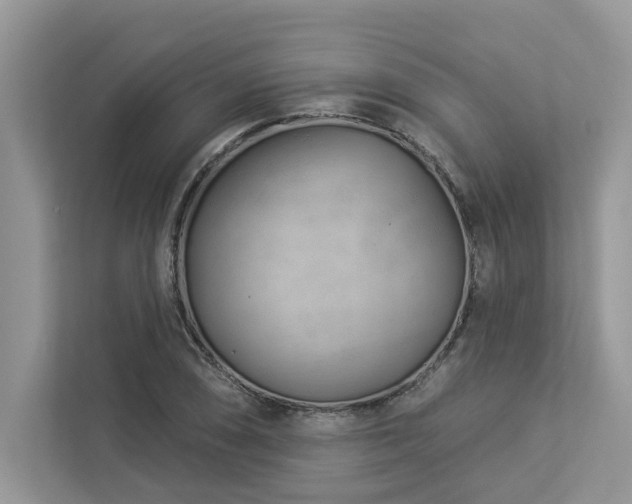 X0000112981074200908271138