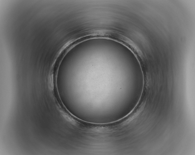 X0000112981075200908271138