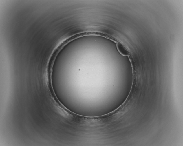 X0000112981076200908271138