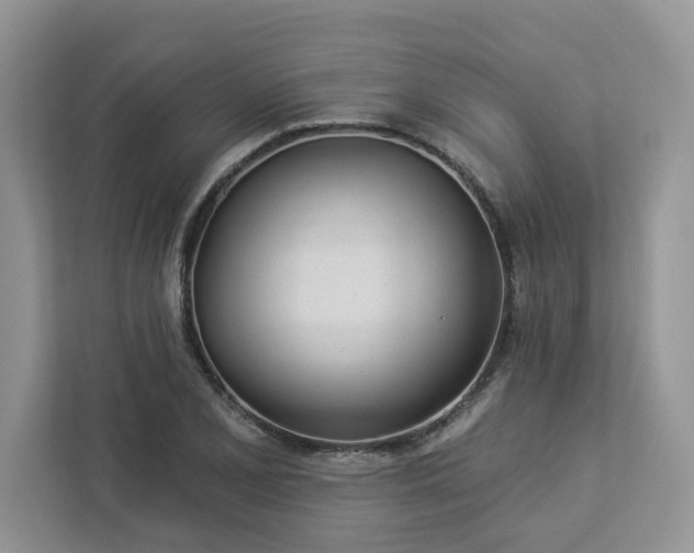 X0000112981077200908271138