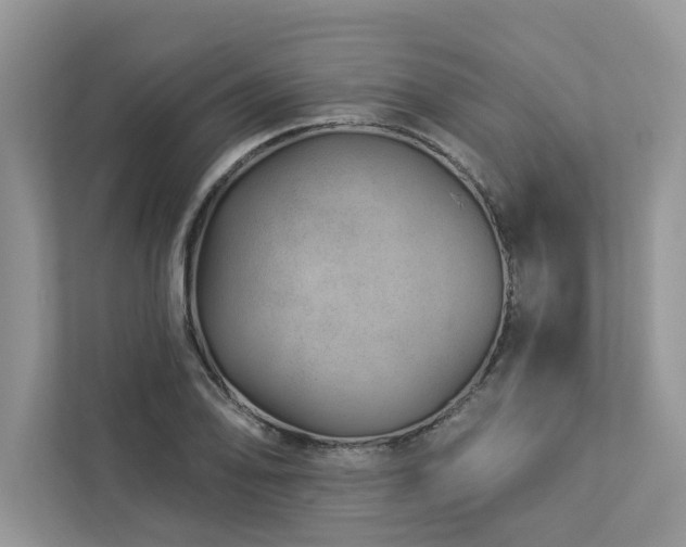 X0000112981078200908271138