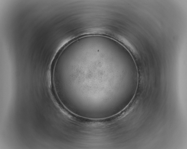 X0000112981079200908271138