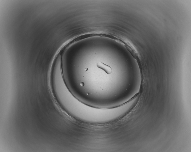 X0000112981080200908271138