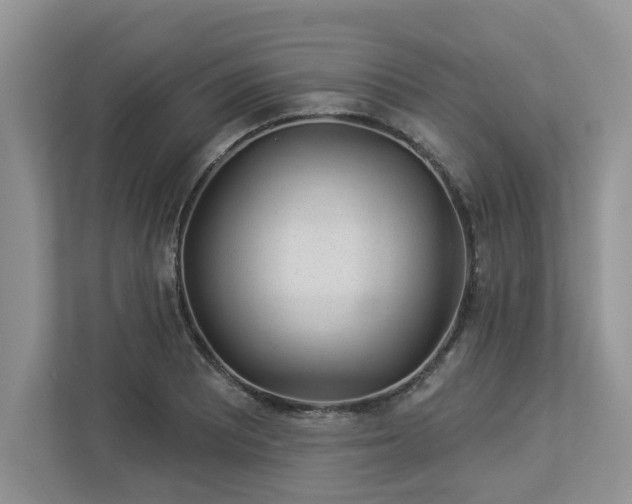 X0000112981081200908271138