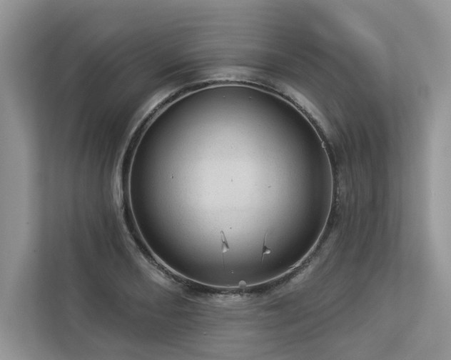 X0000112981082200908271138
