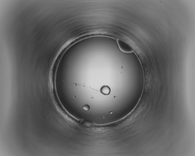 X0000112981084200908271138