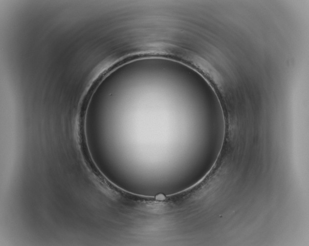 X0000112981085200908271138