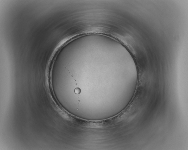 X0000112981086200908271138