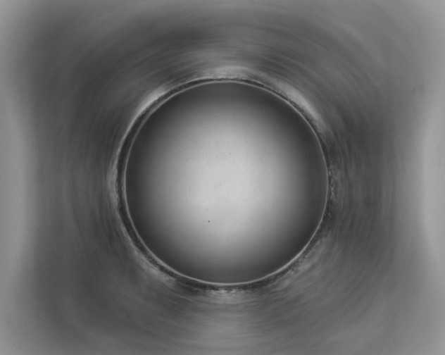 X0000112981087200908271138