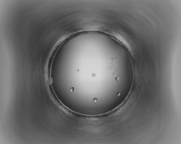 X0000112981088200908271138