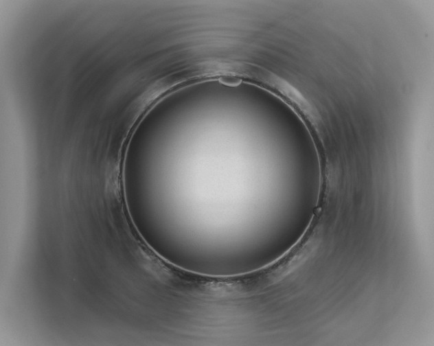X0000112981089200908271138