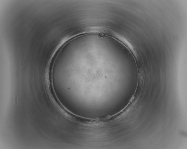 X0000112981091200908271138
