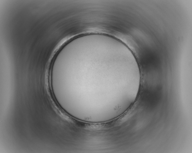X0000112981094200908271138