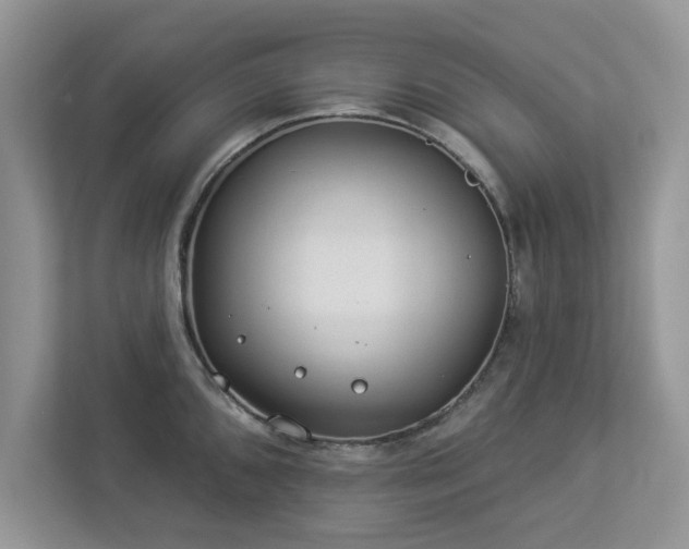 X0000112981096200908271138