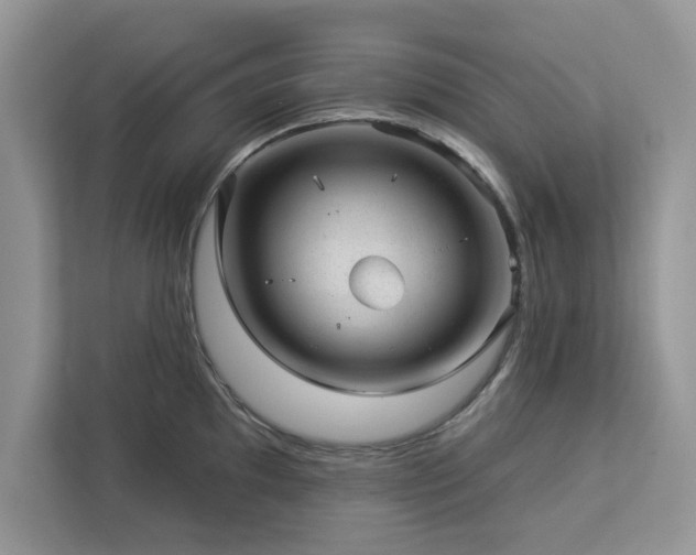 X0000112981097200908271138