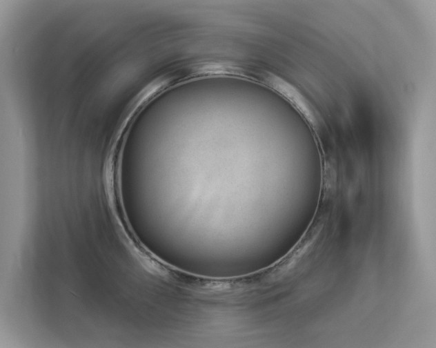 X0000112981098200908271138