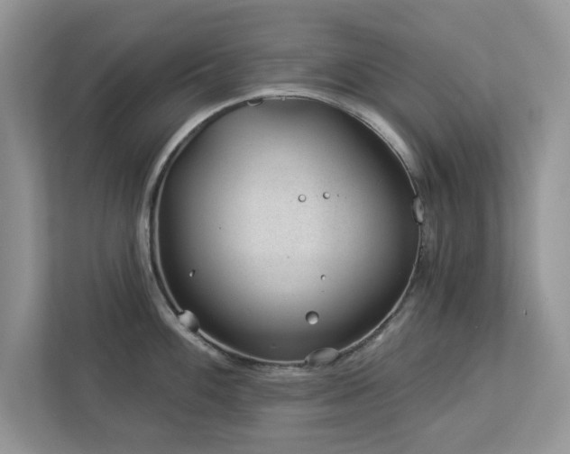 X0000112981100200908271138