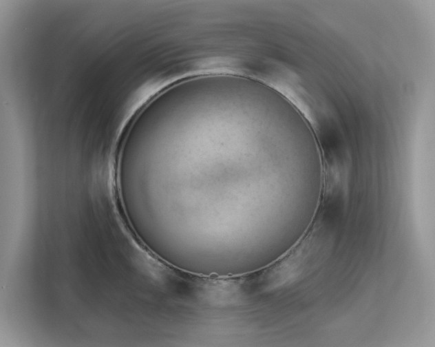X0000112981101200908271138