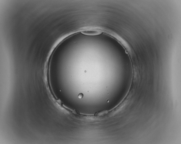 X0000112981102200908271138