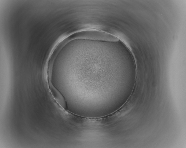 X0000112981104200908271138