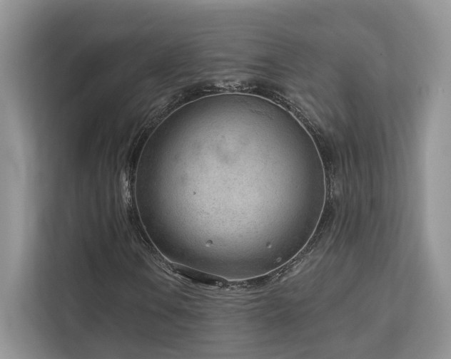 X0000112981106200908271137