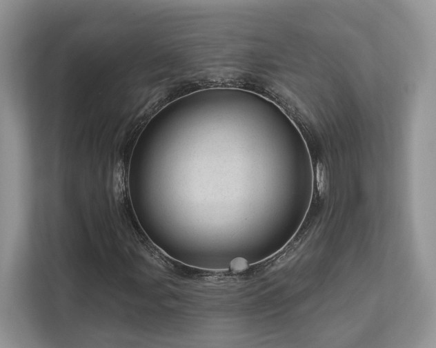 X0000112981107200908271137