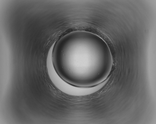 X0000112981108200908271137