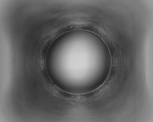X0000112981109200908271137