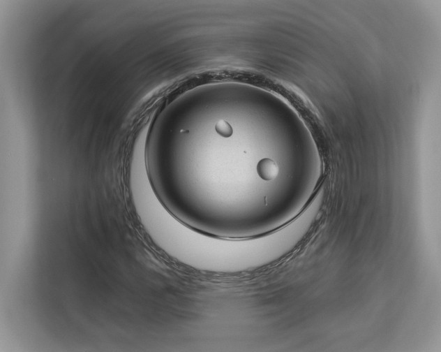 X0000112981112200908271137